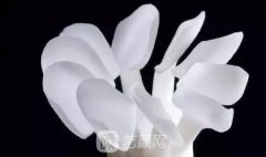 3d微晶牙贴面修复果怎么样？