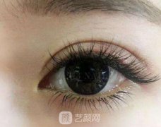 嫁接眉毛能保持多久?果维持时间？