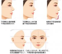 苏州隆下巴价格大概多少，影响价格因素有哪些？
