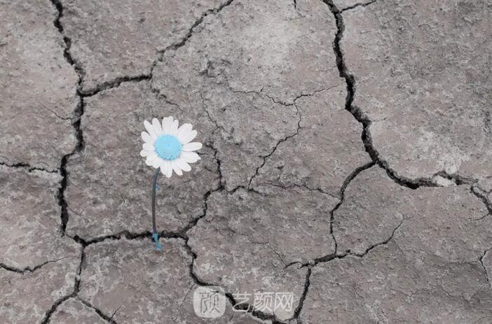 整形医生手记（四）——“官场整形记”