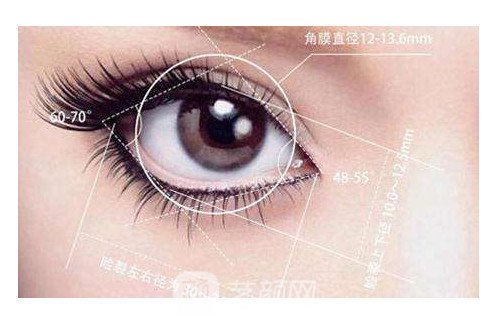 【眼部整形项目大全】