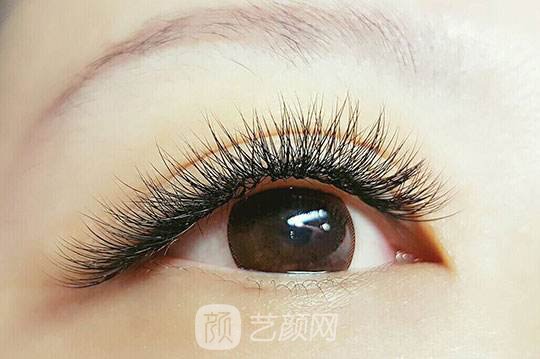 睫毛种植多少钱?