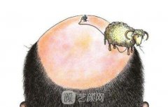 头发种植价格按什么算的~