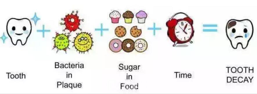 一口牙里,哪颗牙齿较容易长蛀牙?