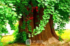 医师节|清华玉泉医疗美容科向塑美医师致敬~