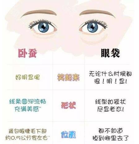 卧蚕紧靠双眼的一条大约四到七mm带条状突起物