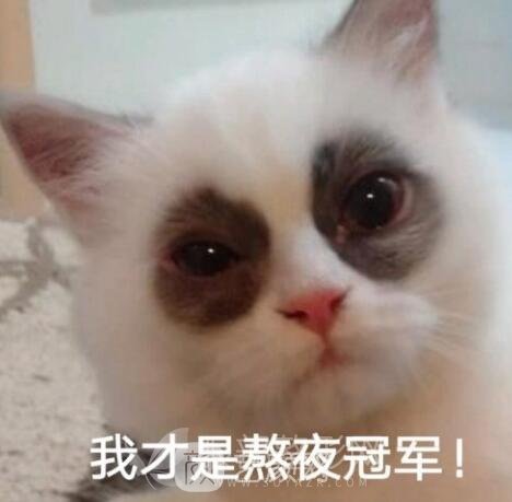 去眼袋手术果好不好