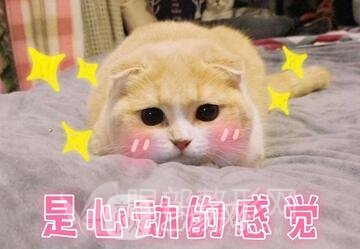 开眼角多长时间恢复