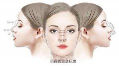 上海九院：隆鼻材料中常用的肋软骨隆鼻吸收率和什么有关