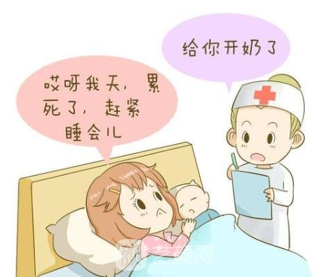 为何要说母乳与胸巨胸小不相干呢?