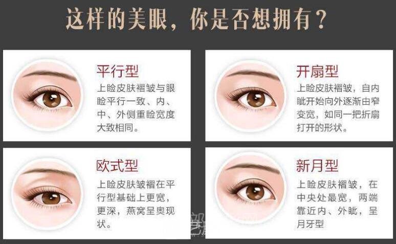 双眼皮形状