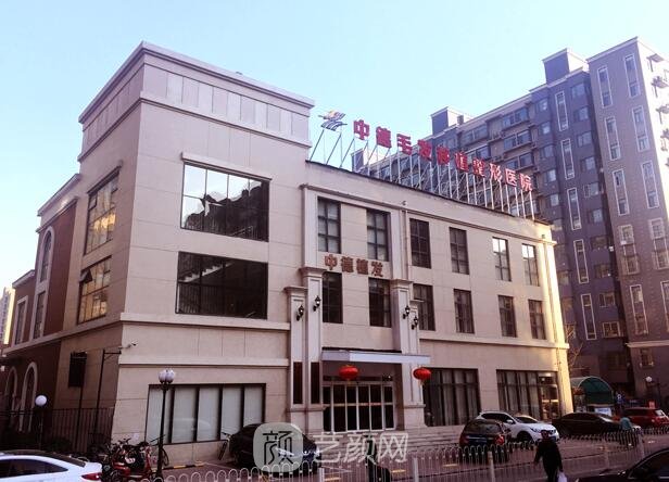 北京中德毛发移植整形医院