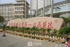 安徽医科大学第一附属医院整形科收费价格表