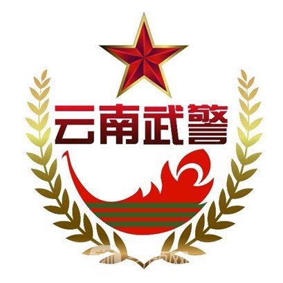 包含武警总医院黄牛票贩子跑腿服务的词条