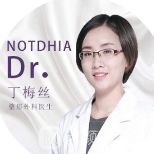 丁梅丝