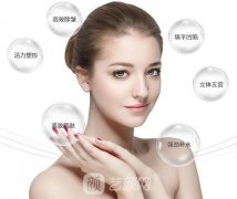 菲蜜丽、欧洲之星哪个效果好？哪个更贵？