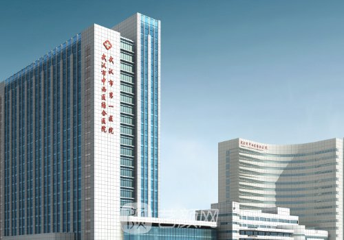 武汉市第一医院整形科腰