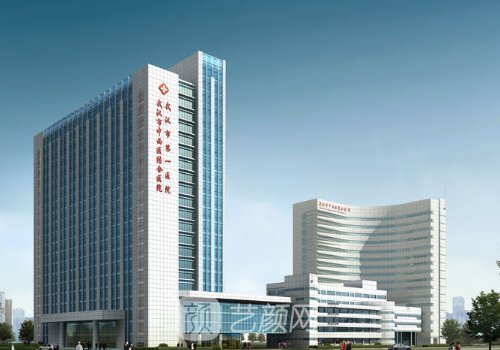 武汉市第一医院整形科吸