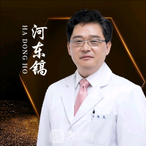 河东镐