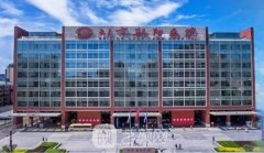 北京朝阳医院整形外科怎