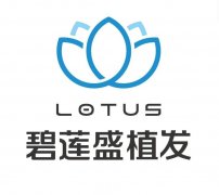 碧莲盛哪些城市有？成立
