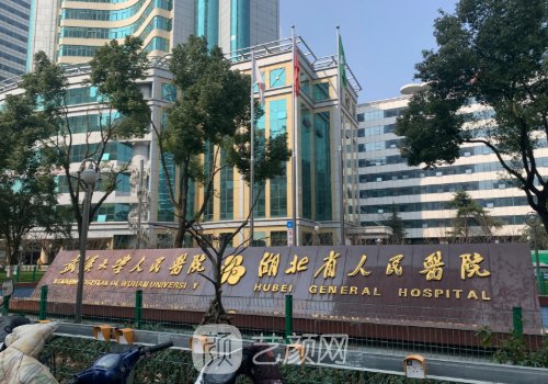 湖北省人民医院整形外科