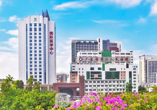 广东省二院整形科怎么样