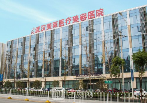 武汉美莱整形医院怎么样