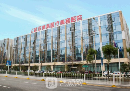 武汉美莱整形医院院长是