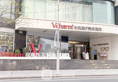 上海隆鼻专家前十名风格