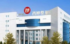 成都西婵和娇点哪个好？