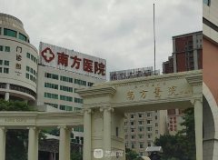广州蒜头鼻矫正多少钱：