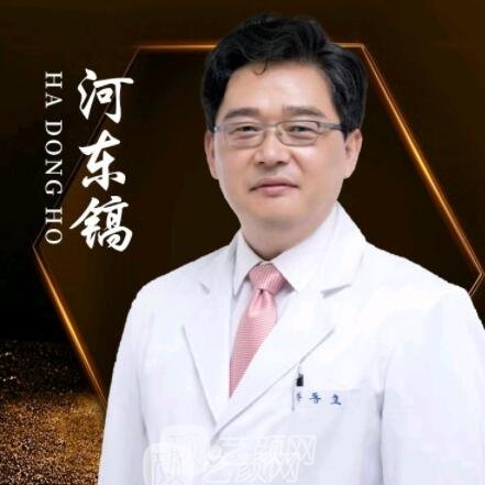 河东镐