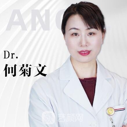 何菊文