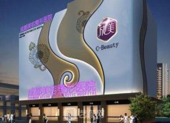 成美整形医院价格表2025