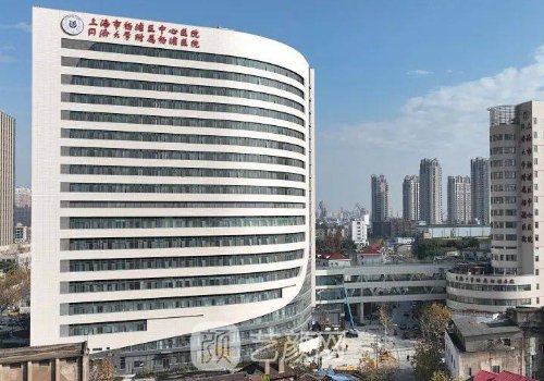 杨浦区中心医院整形科去