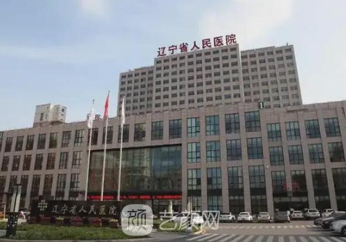 辽宁省人民医院整形科袁