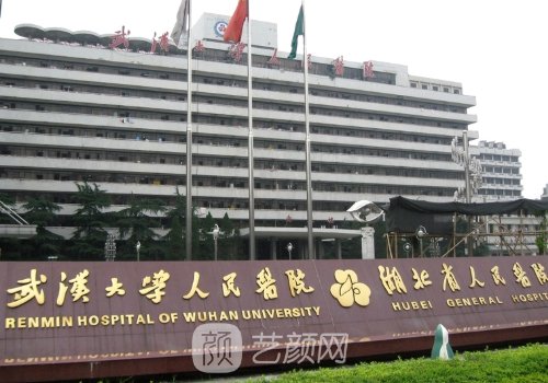 湖北省人民医院吴小蔚口