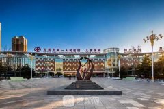 大同软骨隆鼻大概需要多