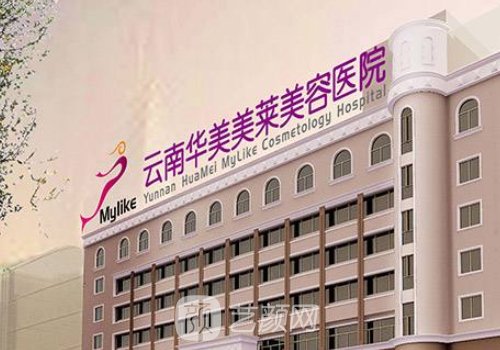 华美美莱和吴氏嘉美哪家