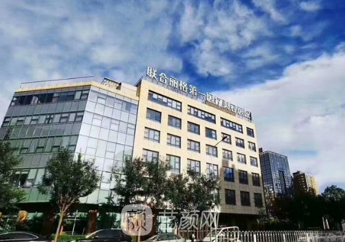 北京大拉皮杨大平怎么样