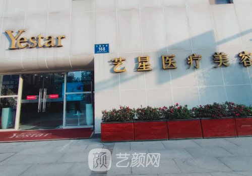 陈远琨做的鼻子咋样?形态