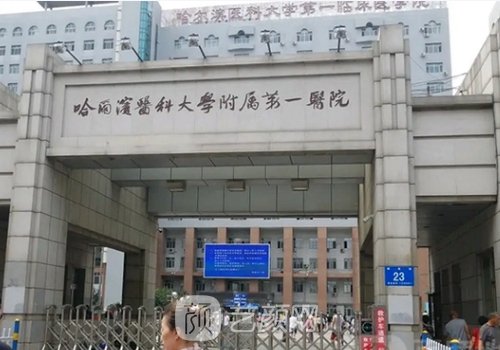 郝立君双眼皮技术好吗?内