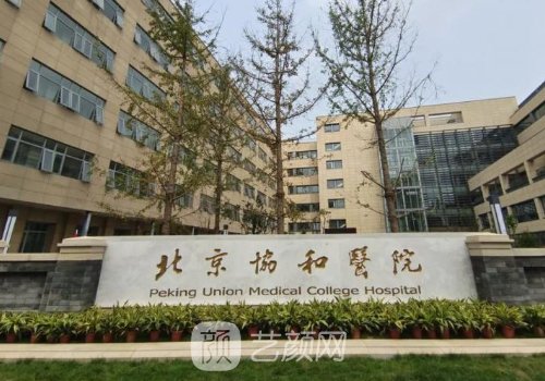 斯楼斌医生怎么预约?崭新