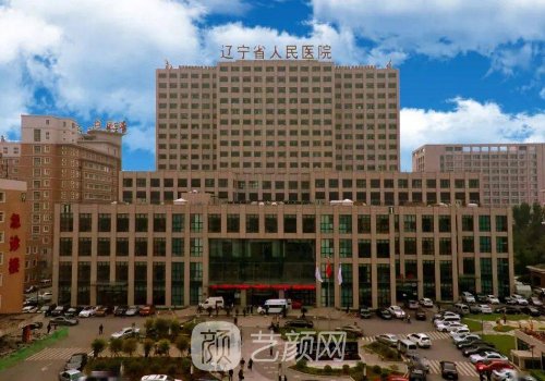 辽宁省人民医院整形外科