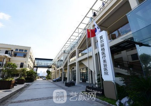 上海有名的隆胸专家有谁