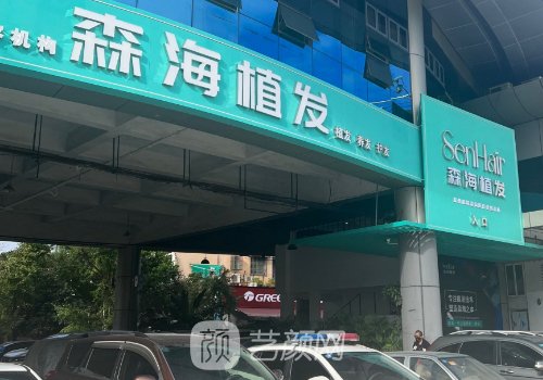 金华森海植发价格表分享