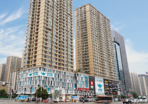 郑州缔莱美和天后哪个好