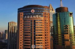 上海做鼻子比较好的三甲