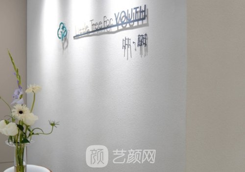 沈阳小树整形价格表更新